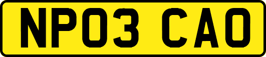 NP03CAO
