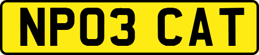 NP03CAT