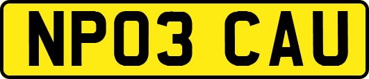 NP03CAU