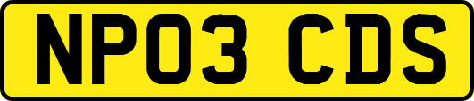 NP03CDS