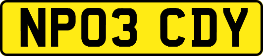 NP03CDY