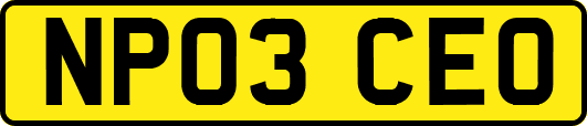 NP03CEO