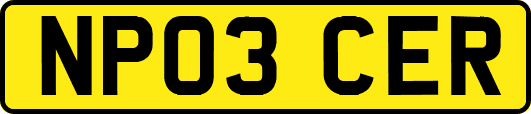 NP03CER