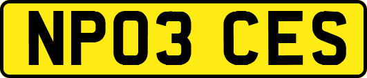 NP03CES