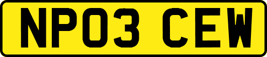NP03CEW