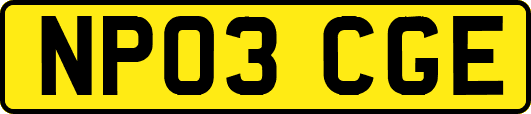 NP03CGE