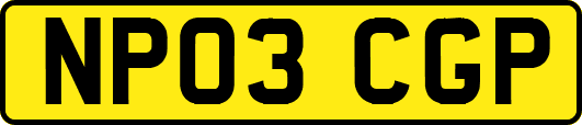 NP03CGP