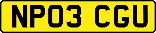 NP03CGU