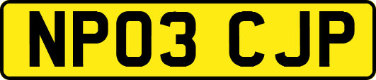 NP03CJP