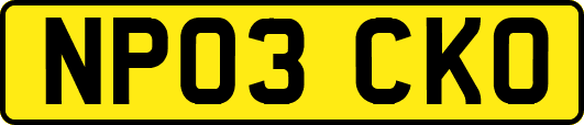 NP03CKO