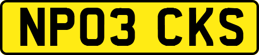 NP03CKS