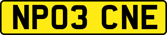 NP03CNE