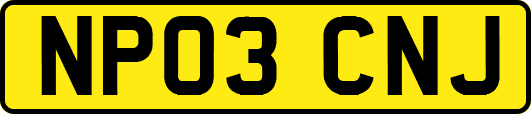 NP03CNJ