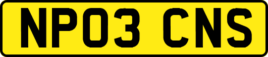 NP03CNS