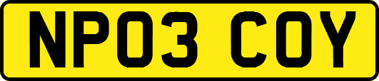 NP03COY