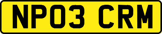 NP03CRM