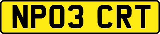 NP03CRT
