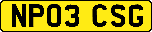 NP03CSG
