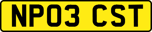 NP03CST