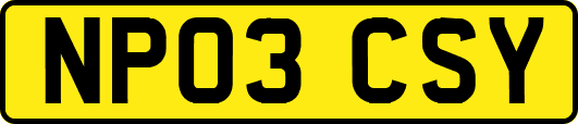 NP03CSY