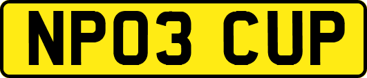 NP03CUP
