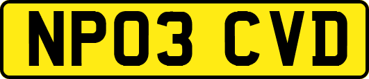 NP03CVD
