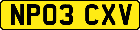 NP03CXV