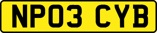 NP03CYB