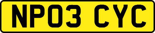 NP03CYC