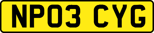 NP03CYG