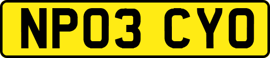 NP03CYO