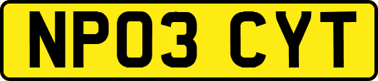 NP03CYT