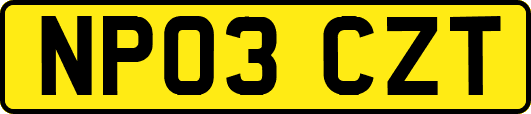 NP03CZT
