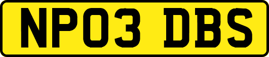 NP03DBS