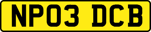 NP03DCB