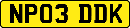 NP03DDK
