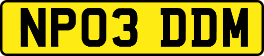 NP03DDM