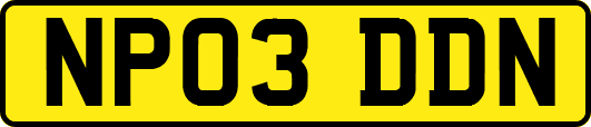 NP03DDN