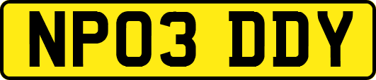 NP03DDY