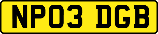 NP03DGB