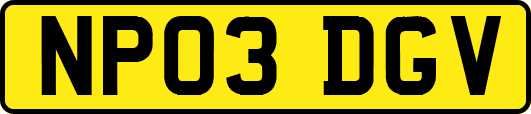NP03DGV