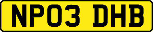 NP03DHB
