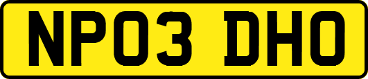 NP03DHO
