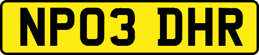 NP03DHR
