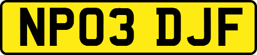 NP03DJF
