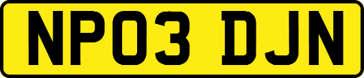 NP03DJN