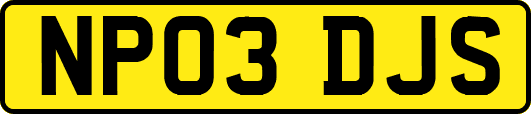NP03DJS