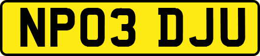 NP03DJU