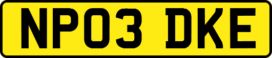 NP03DKE