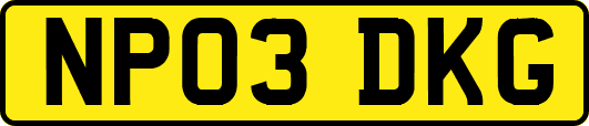 NP03DKG